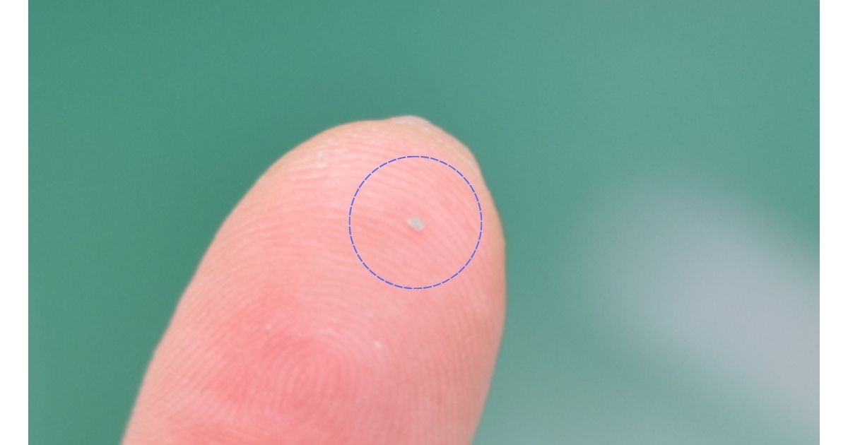 IAI 로봇과 AIVE & RoboEYE가 완성한 초소형 SMD 릴 테이핑 자동화